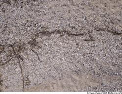 Photo of Mixed Textures